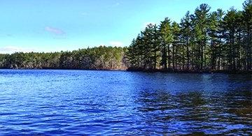 Image of Arcadia Management Area in Exeter, RI